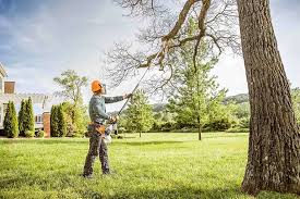 Best Lawn Renovation and Restoration  in Woodbury, NY